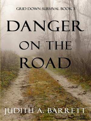 cover image of Danger on the Road